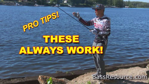 Fishing Paddle Tail Swimbaits From The Bank | How To | Bass Fishing