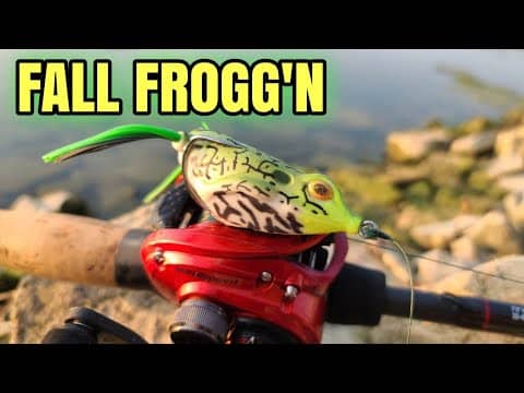 Frog Bite Was CRAZY Good! (Bank Fishing)