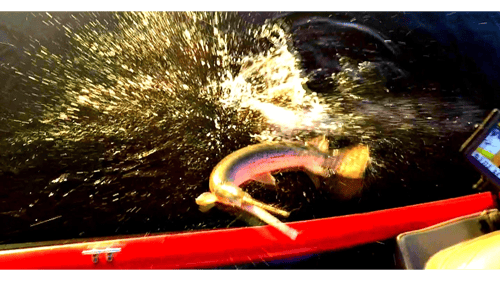 Saltwater Fishing the Mobile Delta - Angry Alligator Gar Attacks!!