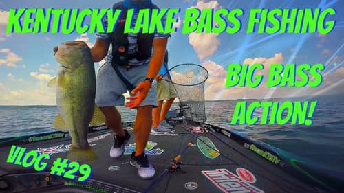 Kentucky Lake Bass Fishing - Vlog #29 (Big Bass Action)