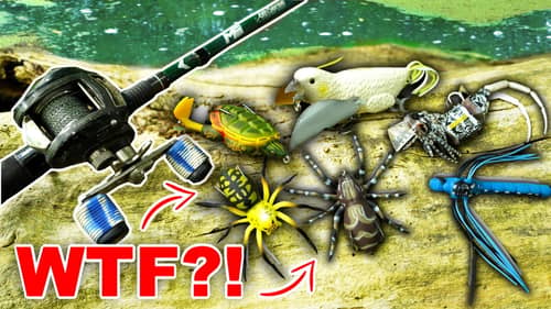 I THOUGHT I Bought the WORST Fishing Lures in the World...SHOCKING Results!!