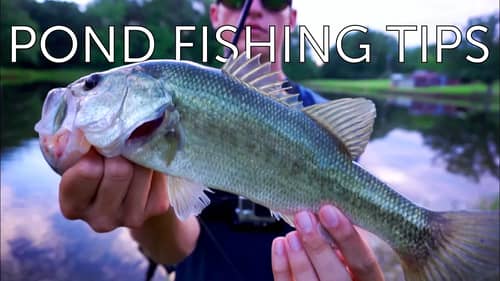 Pond Fishing - Tips To Catch More Bass