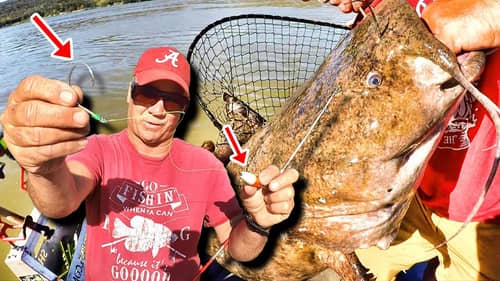 THIS Catfish Fishing Setup Catches MONSTERS!!! How To Locate and Catch Trophy Catfish!