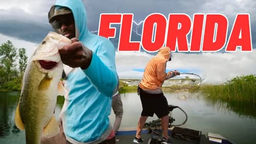 Finding The Best Bass Lake In Florida