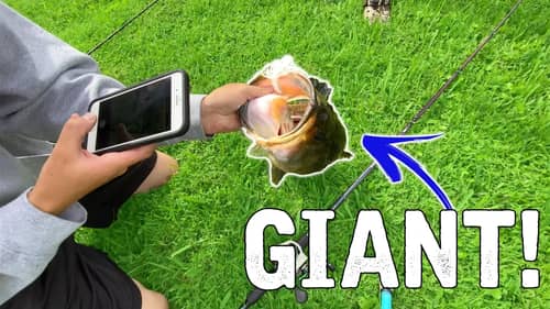 Catching GIANT Bass Spawn Fishing While Exploring SECRET Florida Location