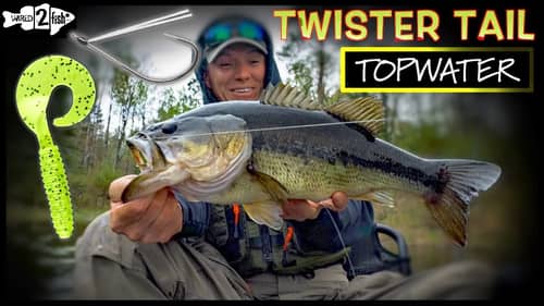 SIMPLE Curly Tail Grub SMASHES in Shallow Water Bass Fishing