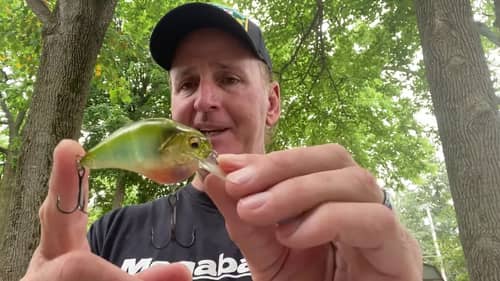 The Three Megabass Lures Pros Don’t Want You To Know About!