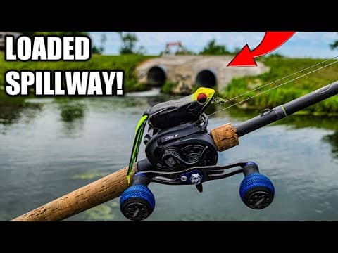 Fishing a Tiny Spillway LOADED with Bass (Topwater Frog Fishing)