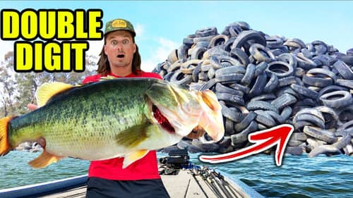 Catching My BIGGEST BASS of Summer from a TOXIC WASTELAND!! (Unbelievable)
