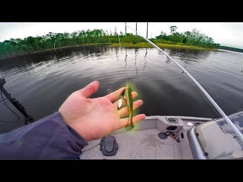 Power Plant Speed Fishing -- BEST Lure for New Lake Fishing