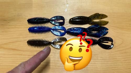 Common Mistakes Most Anglers Make Picking Creature Bait Colors…