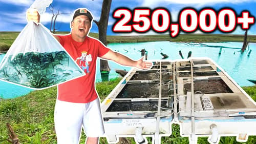 Stocking 250,000 Golden Shiners in my POND!!! (Big Bass Food)