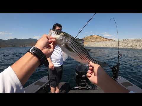 Limits of Striper at Silverwood Lake (Shore Lunch and Broken Down Boat)
