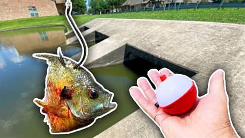 Fishing CUT BLUEGILL Inside Pond Drains! (Non-Stop Fish Catching)