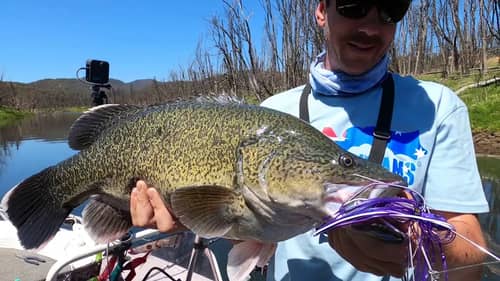 Finishing Off One Of the Best Days of Murray Cod Fishing - #BigCodDreams Episode 21