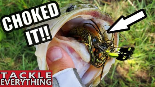BEST New Chatterbait Trailer...Could This Be IT???