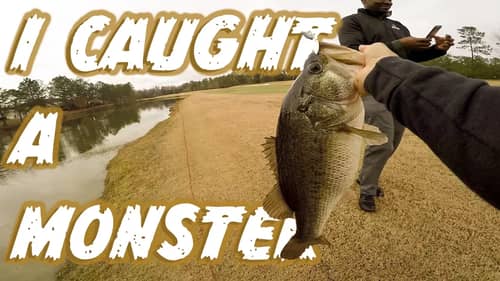 I CAUGHT A MONSTER (Pond Fishing)