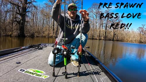 Why Do BASS Love RED Lures in the SPRING?? // You NEED To THROW RED RIGHT NOW!!!