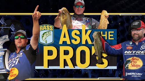 Ask the Pros! (Episode 2: Hartman, Snowden, Morgenthaler)