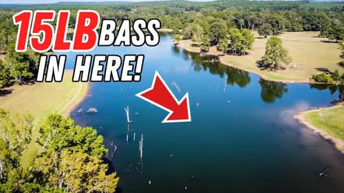 Fishing One Of The BEST Lakes In Texas - Hat & Star Ranch Lake
