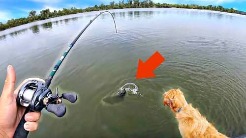 HOOKED INTO AN UNEXPECTED BIG FISH!!! (Fall Bass Fishing w/ my Dog!!)