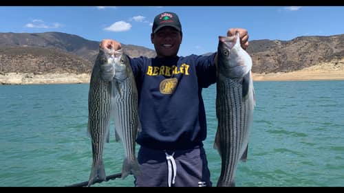 Trolling for Big Stripers at Castaic Lake