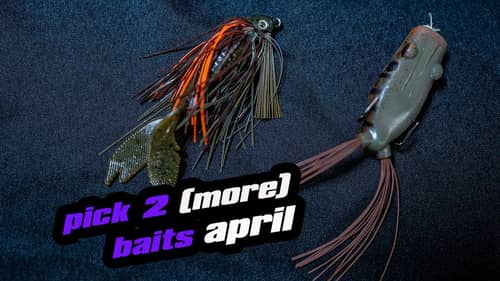 Pick 2 (More) Baits | April