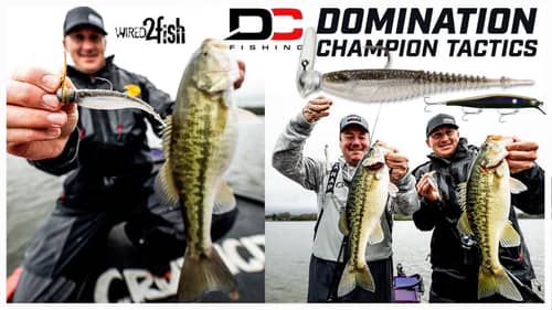 Dustin Connell's Tournament-Winning Guide to Spotted Bass