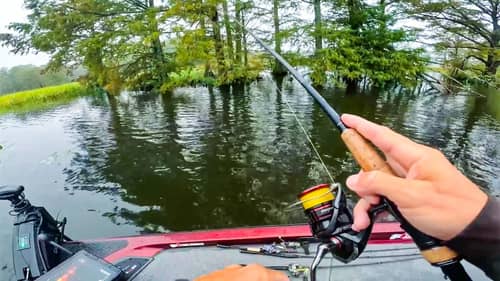 Fishing In The Trees || Fall Fishing Tournament on Chickahominy River!