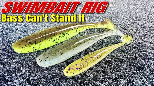 The Swimbait Rig Bass Can't STAND