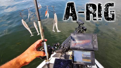 Fishing The A-RIG To Catch BIG BASS! (A-RIG)