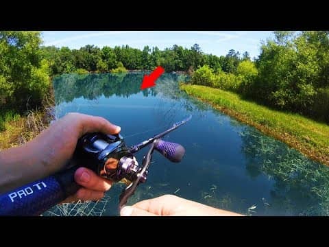 Fishing NEW POND For AGGRESSIVE Bass (Exploring!)