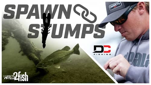 Pitching Stumps for Big Springtime Bass with Dustin Connell