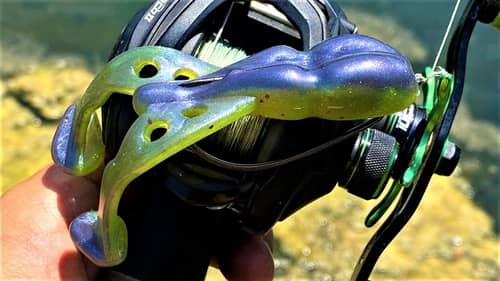 An Epic Top Water Frog | Inject to Catch