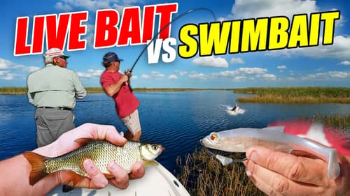 LIVE BAIT vs SWIMBAIT - BIG BASS Challenge with Pops! (Roland Martin)