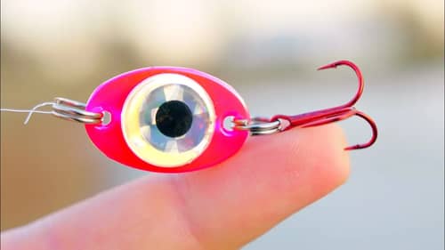 Fishing with a BATTERY Powered Light Up Lure!? (AWESOME)