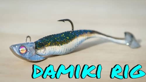 How To Fish The Damiki Rig - Winter Bass Fishing