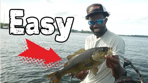 Easy Way To Catch Shallow Summer Bass
