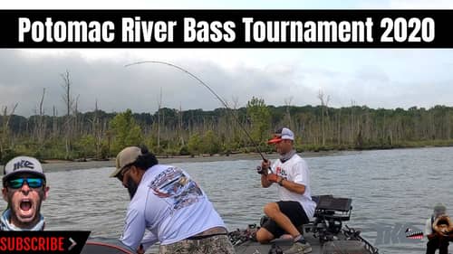 Potomac River Bass Tournament 2020