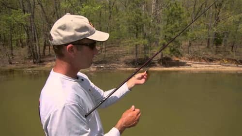 Presentations for Bedding Bass (Fishing)