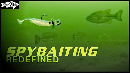 How to Fish Finesse Swimbaits for Suspended Bass