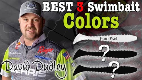 Top 3 Swimbait Colors for Bass Fishing