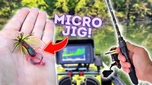Fishing For WHATEVER BITES With These Insane Ultralight Jigs!