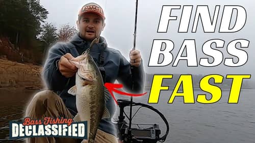 Bass Fishing Is EASY If You Follow These 3 Rules