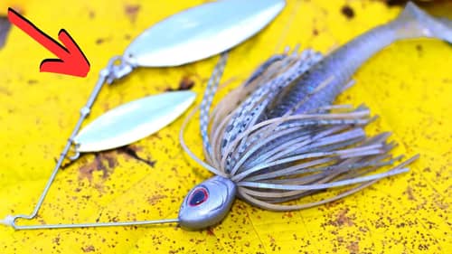 DON'T Miss The FALL Spinnerbait BITE Happening NOW