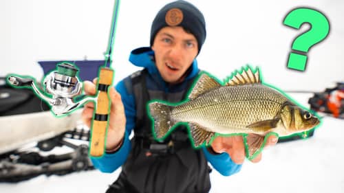 Multi-Species ICE FISHING Challenge! (How Many Can We Catch?)