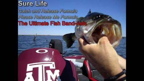 Bass Fishing Tips - How to Save a Fish's Life