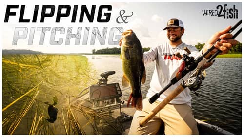 Top 5 Fishing Rods Every Angler Needs! (Beginner To Advanced) 