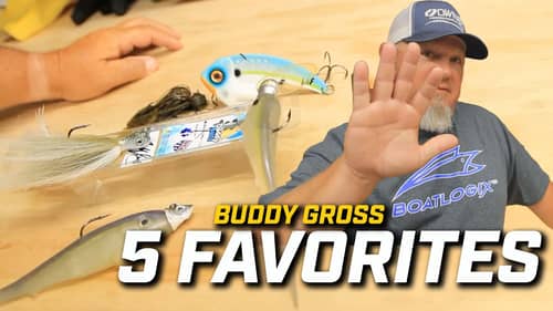 5 Favorites: Top Ledge Fishing baits for Buddy Gross