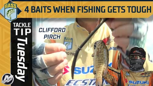 Four baits you NEED to use when fishing gets TOUGH